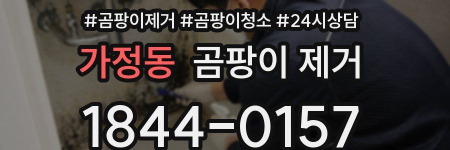 가정동 곰팡이 제거