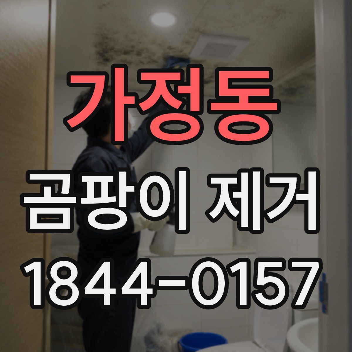 가정동 곰팡이 제거