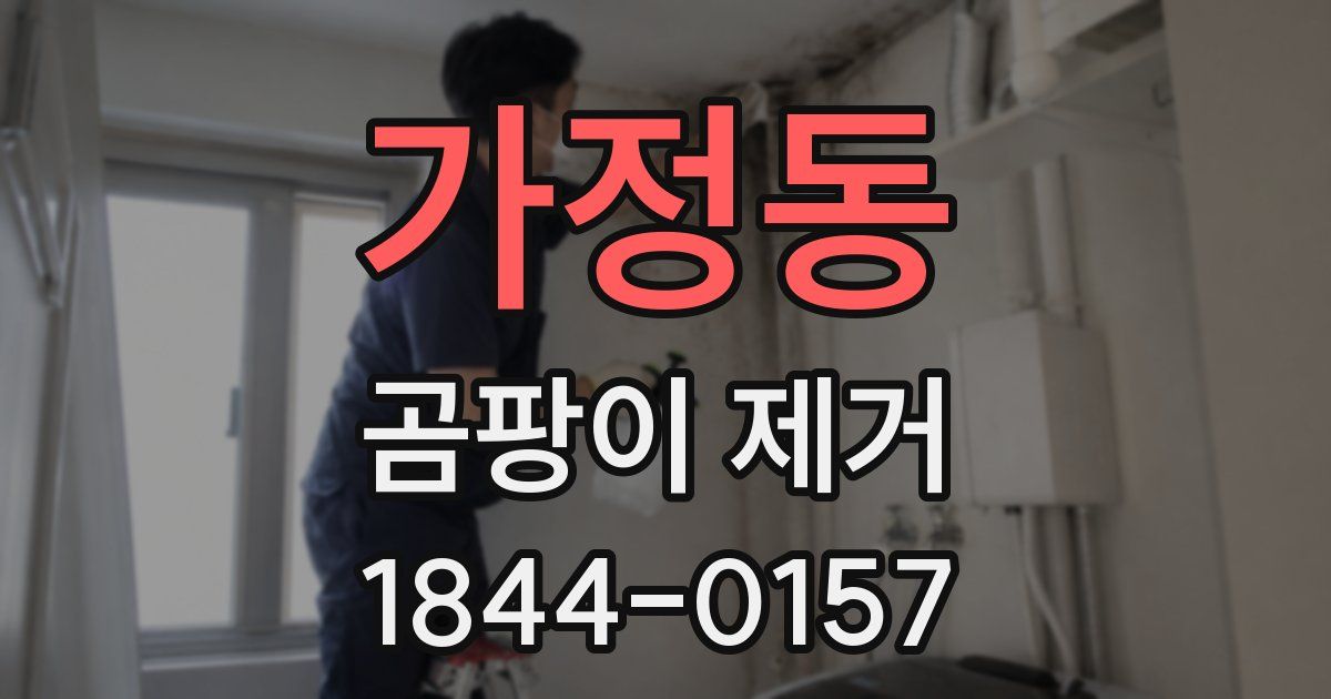 가정동 곰팡이 제거