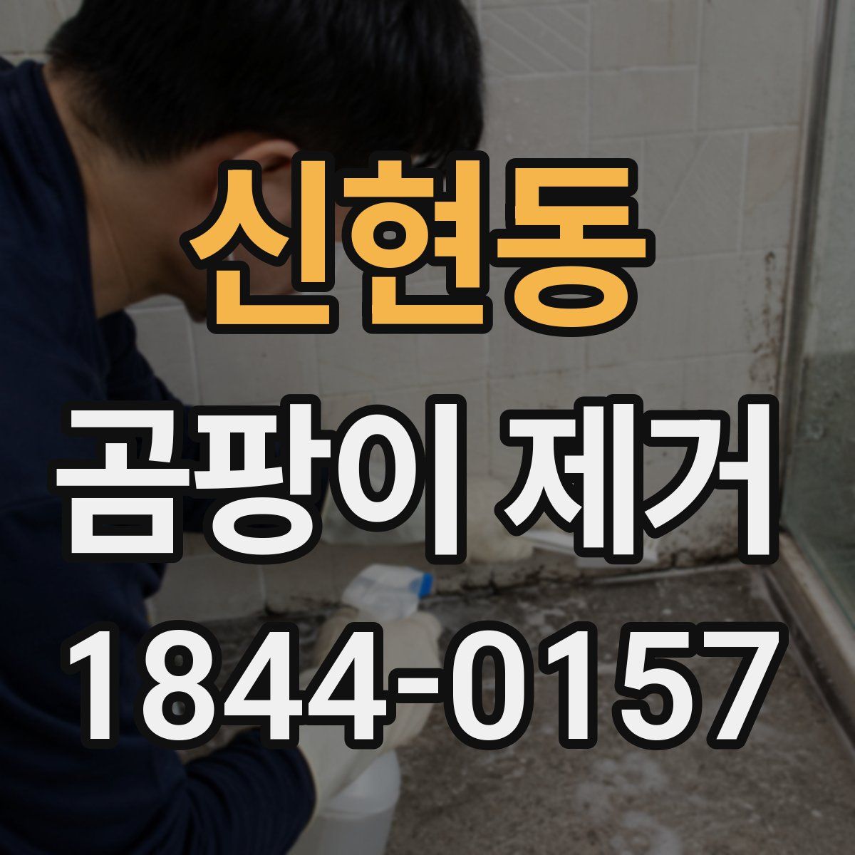 신현동 곰팡이 제거
