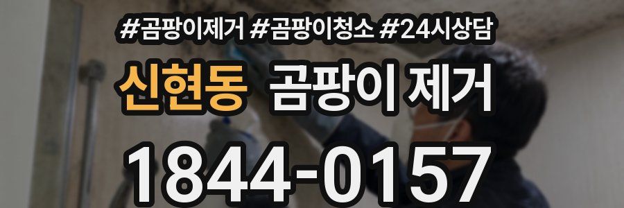 신현동 곰팡이 제거