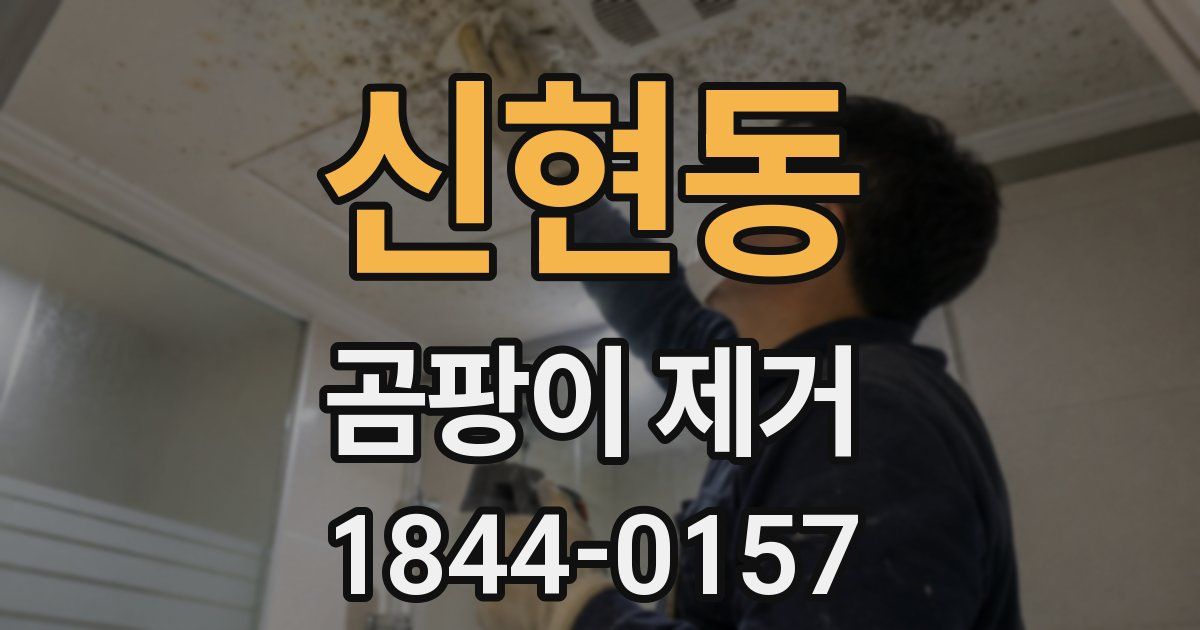신현동 곰팡이 제거