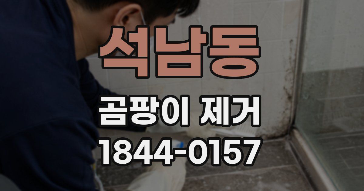 석남동 곰팡이 제거