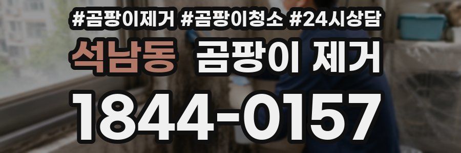 석남동 곰팡이 제거