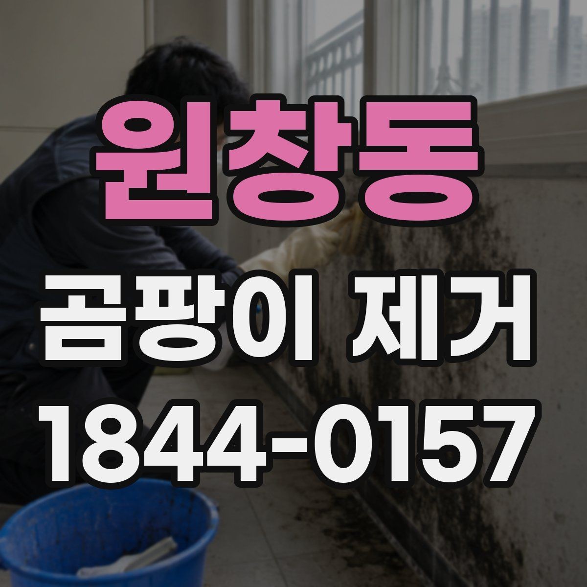 원창동 곰팡이 제거 마감재별로 달라지는 안전한 처리 방법
