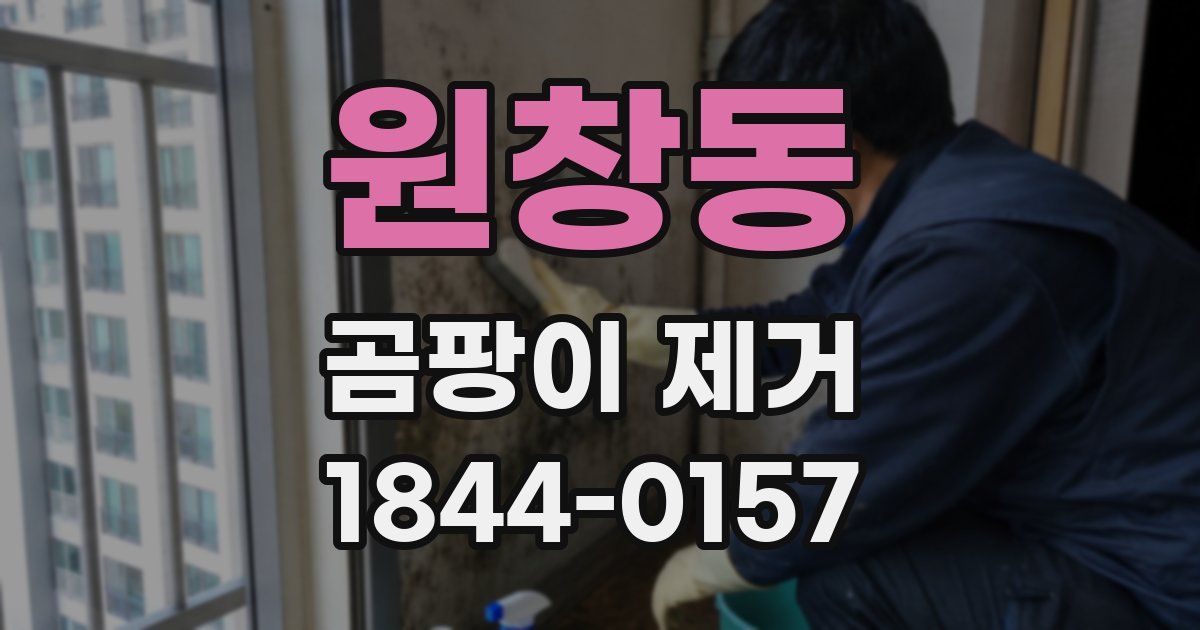 원창동 곰팡이 제거