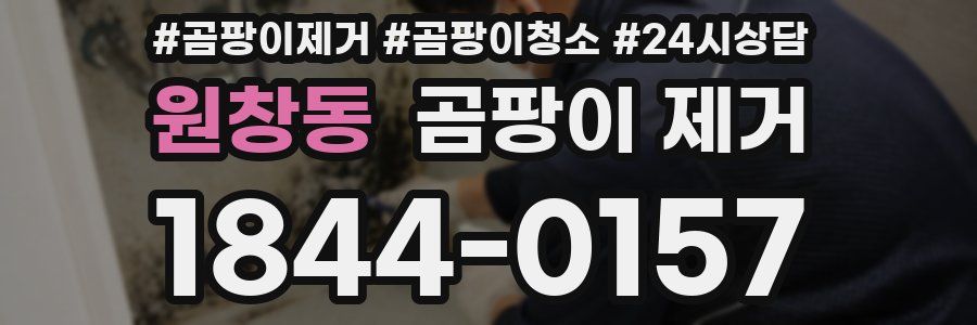 원창동 곰팡이 제거