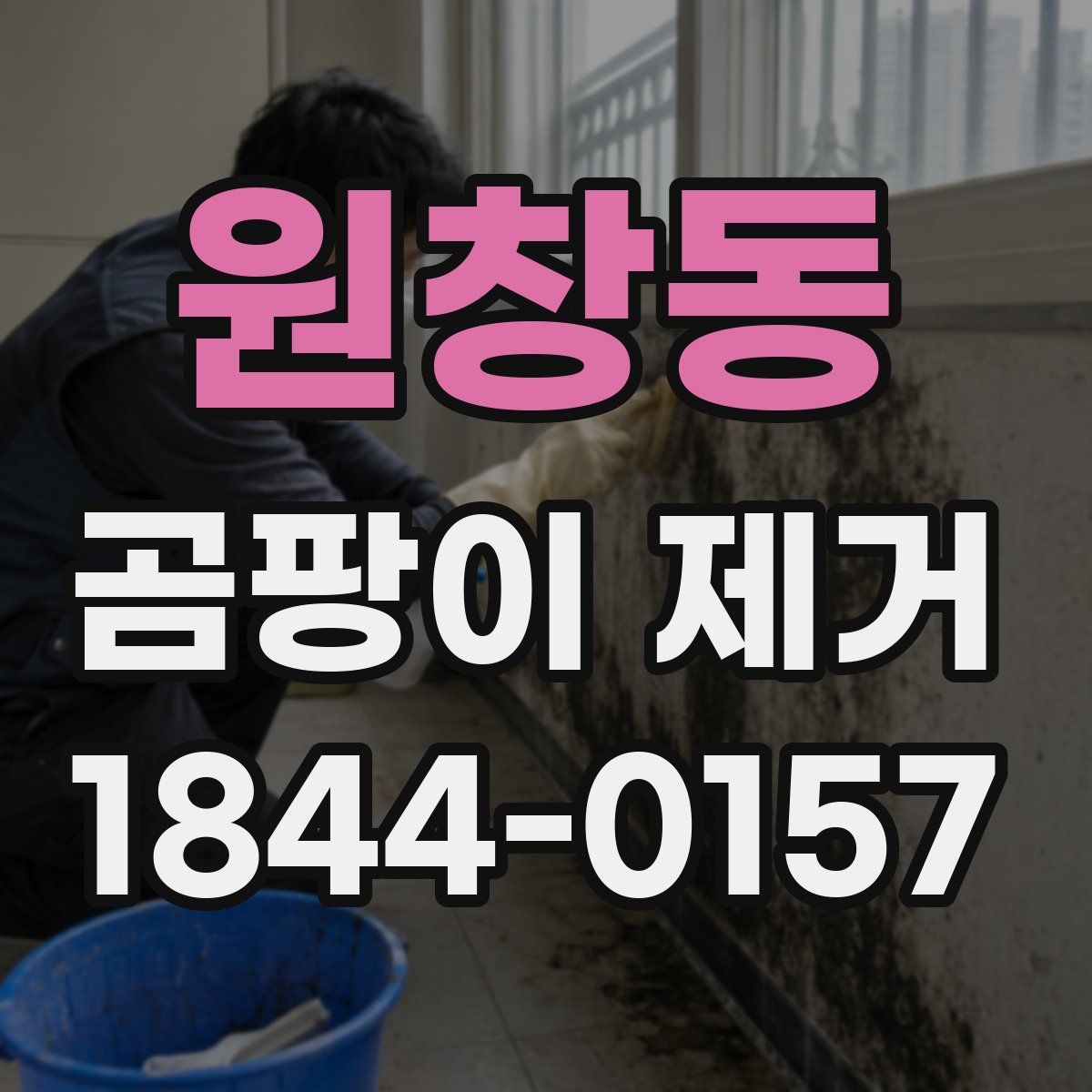 원창동 곰팡이 제거