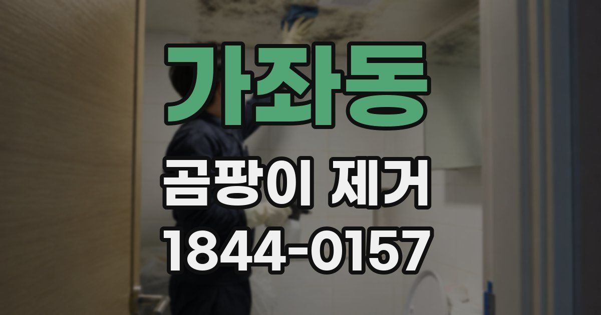 가좌동 곰팡이 제거