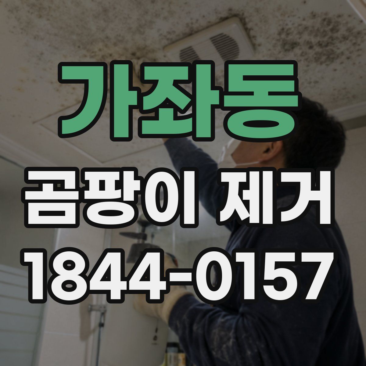 가좌동 곰팡이 제거