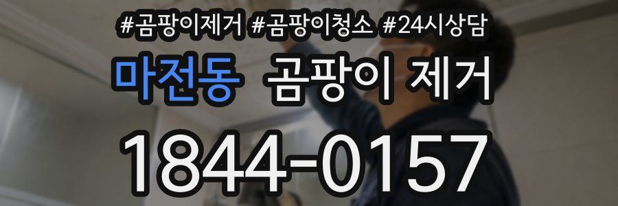 마전동 곰팡이 제거