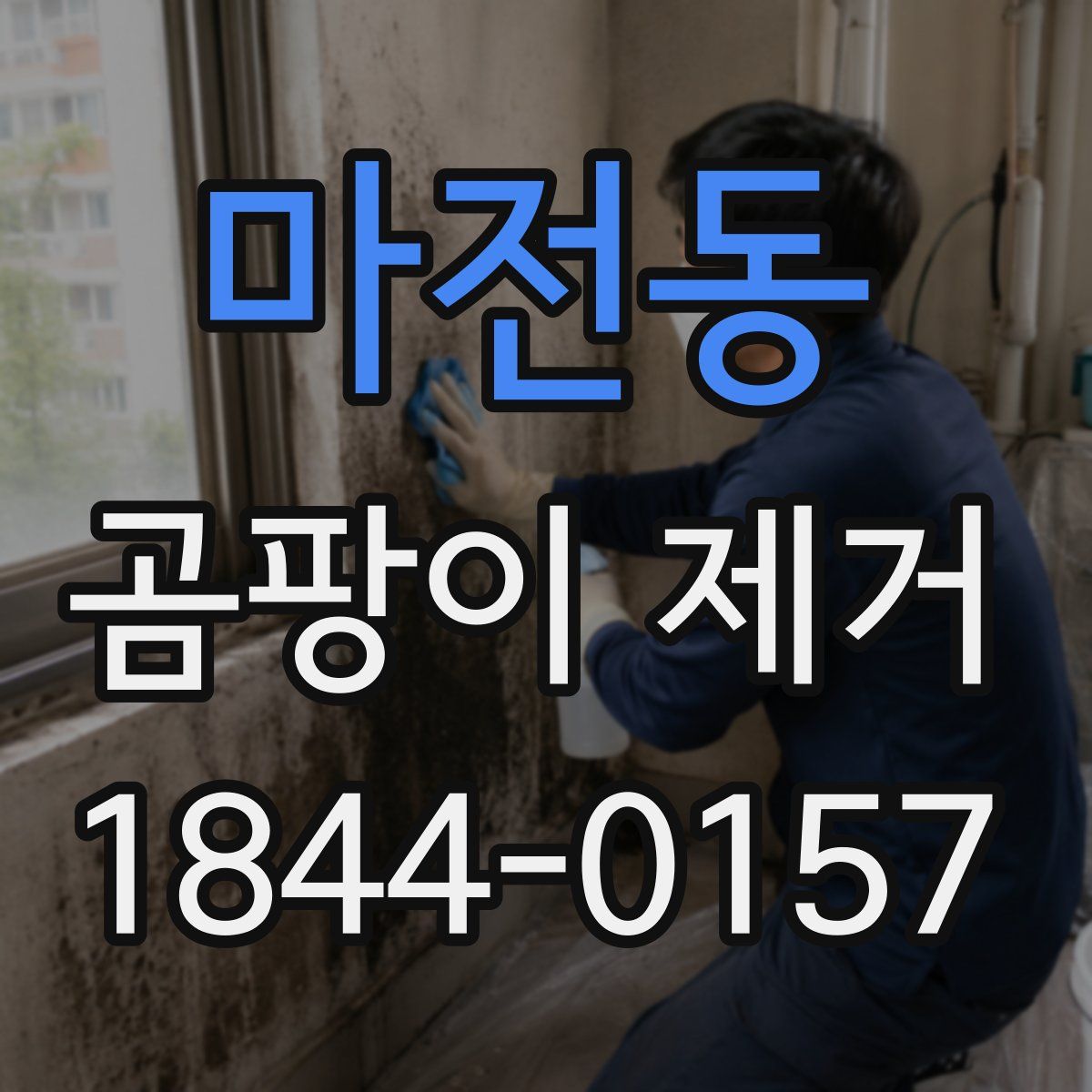 마전동 곰팡이 제거