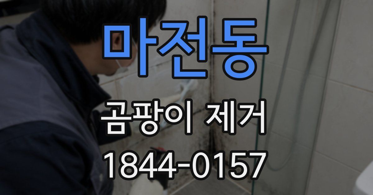마전동 곰팡이 제거