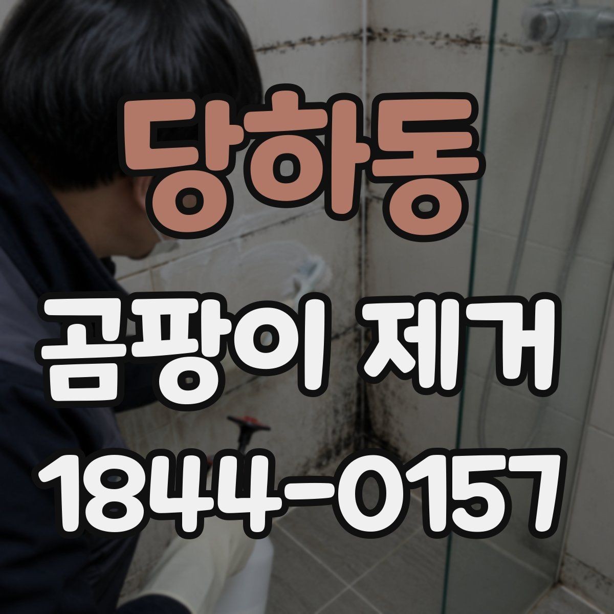 당하동 곰팡이 제거 실내 습도가 높을 때 우선순위 정리