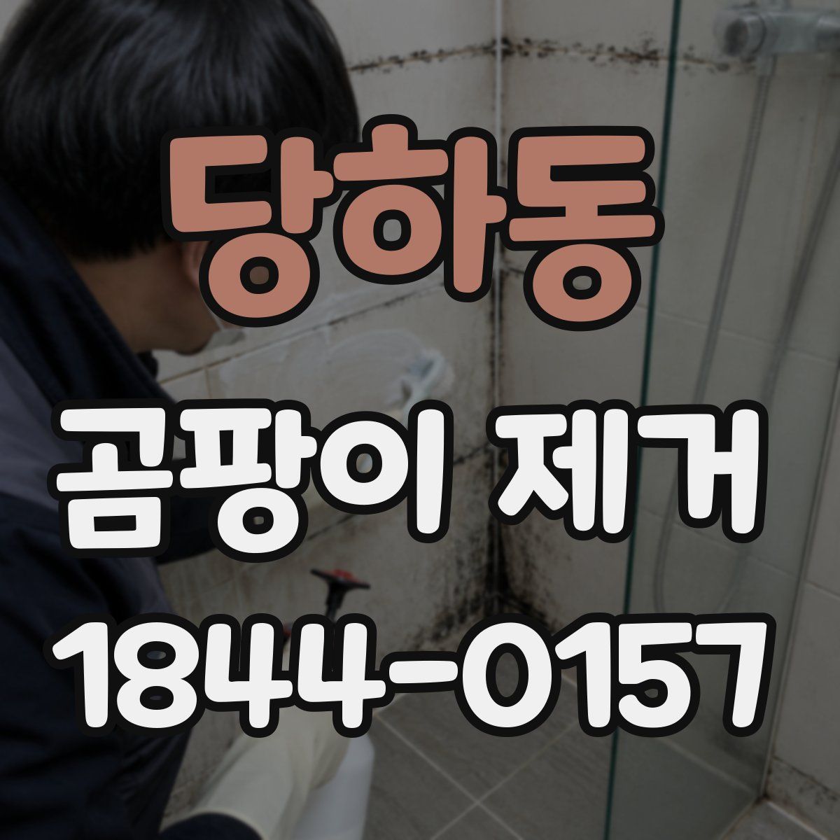 당하동 곰팡이 제거