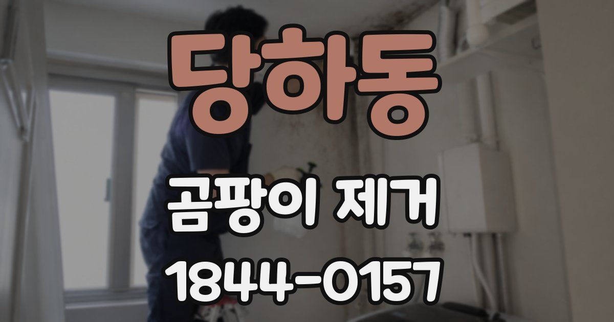 당하동 곰팡이 제거