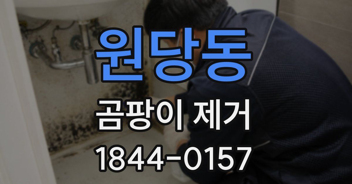 원당동 곰팡이 제거