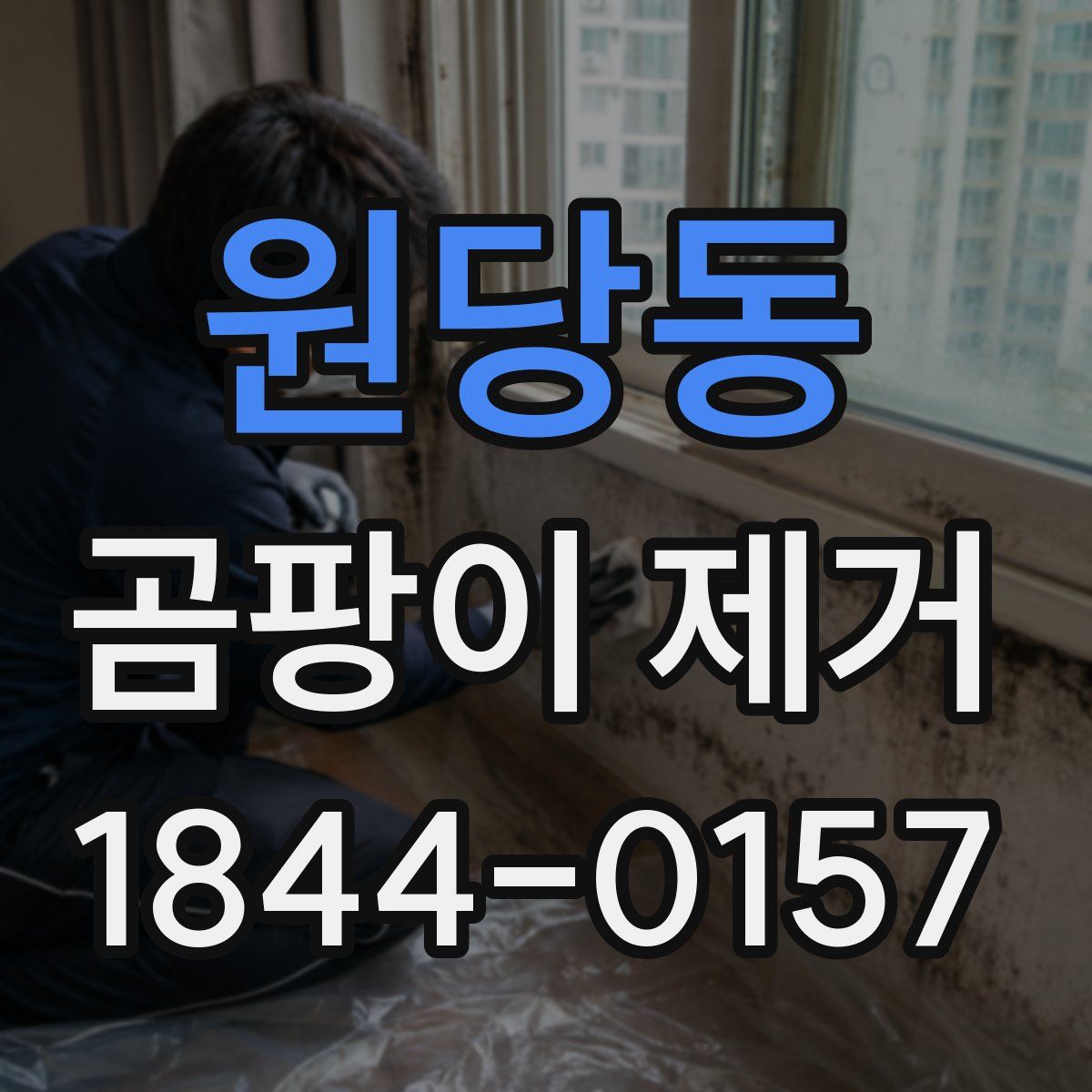 원당동 곰팡이 제거