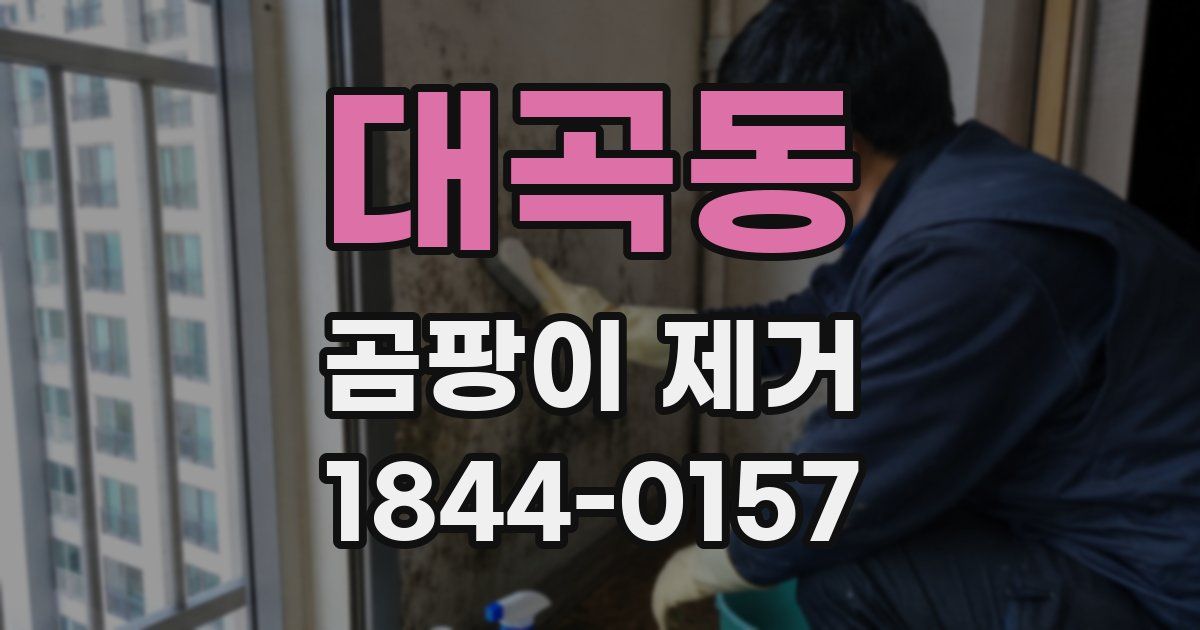 대곡동 곰팡이 제거