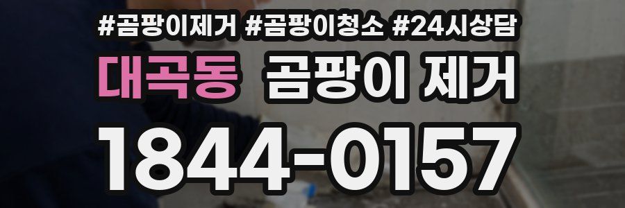 대곡동 곰팡이 제거