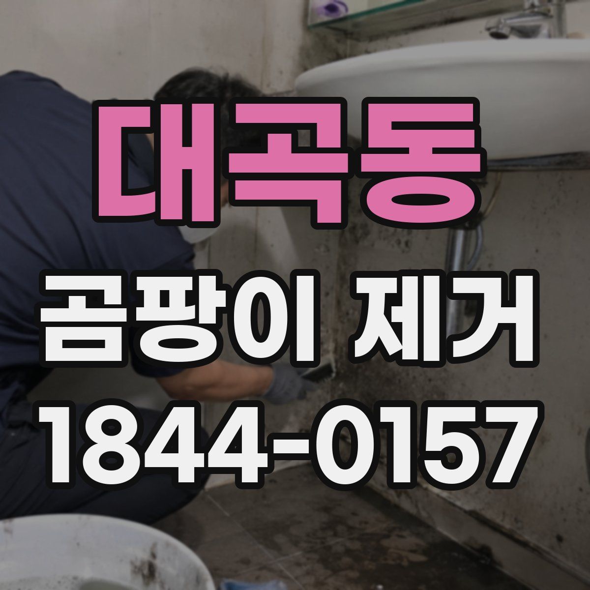 대곡동 곰팡이 제거