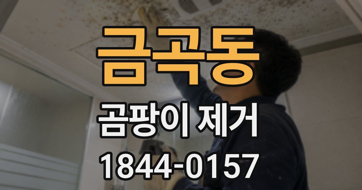 금곡동 곰팡이 제거