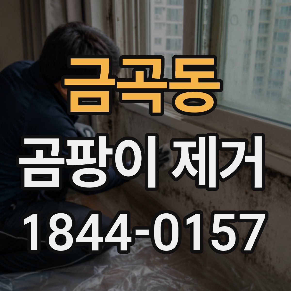 금곡동 곰팡이 제거