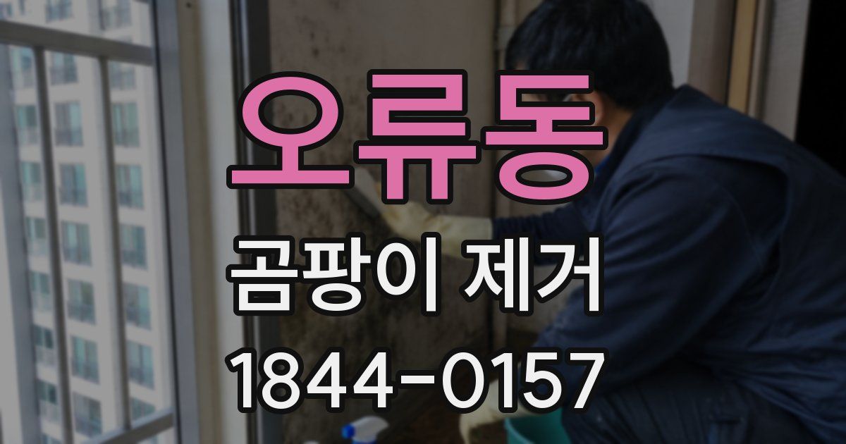 오류동 곰팡이 제거