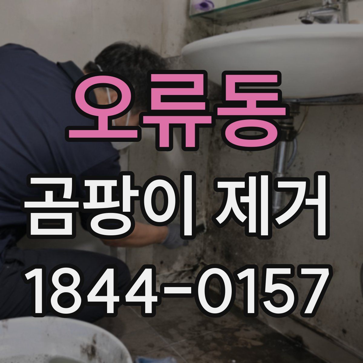 오류동 곰팡이 제거
