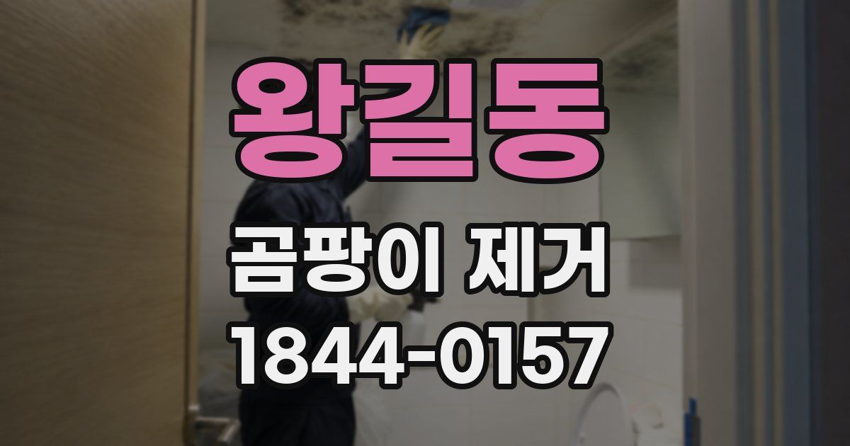 왕길동 곰팡이 제거
