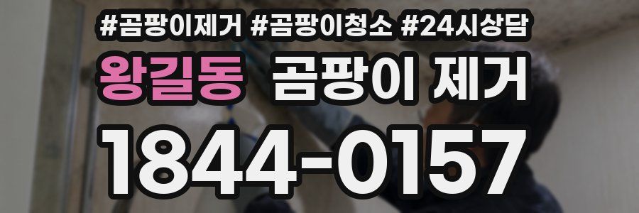 왕길동 곰팡이 제거