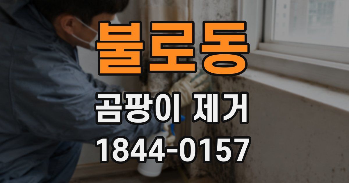 불로동 곰팡이 제거