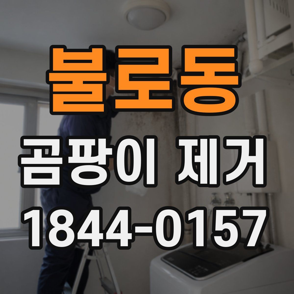 불로동 곰팡이 제거