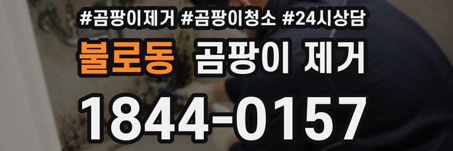 불로동 곰팡이 제거