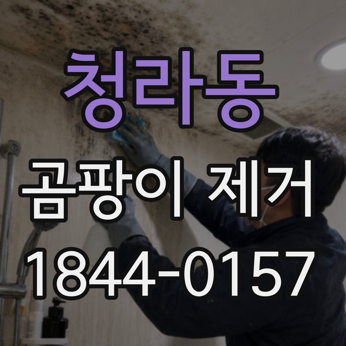 청라동 곰팡이 제거