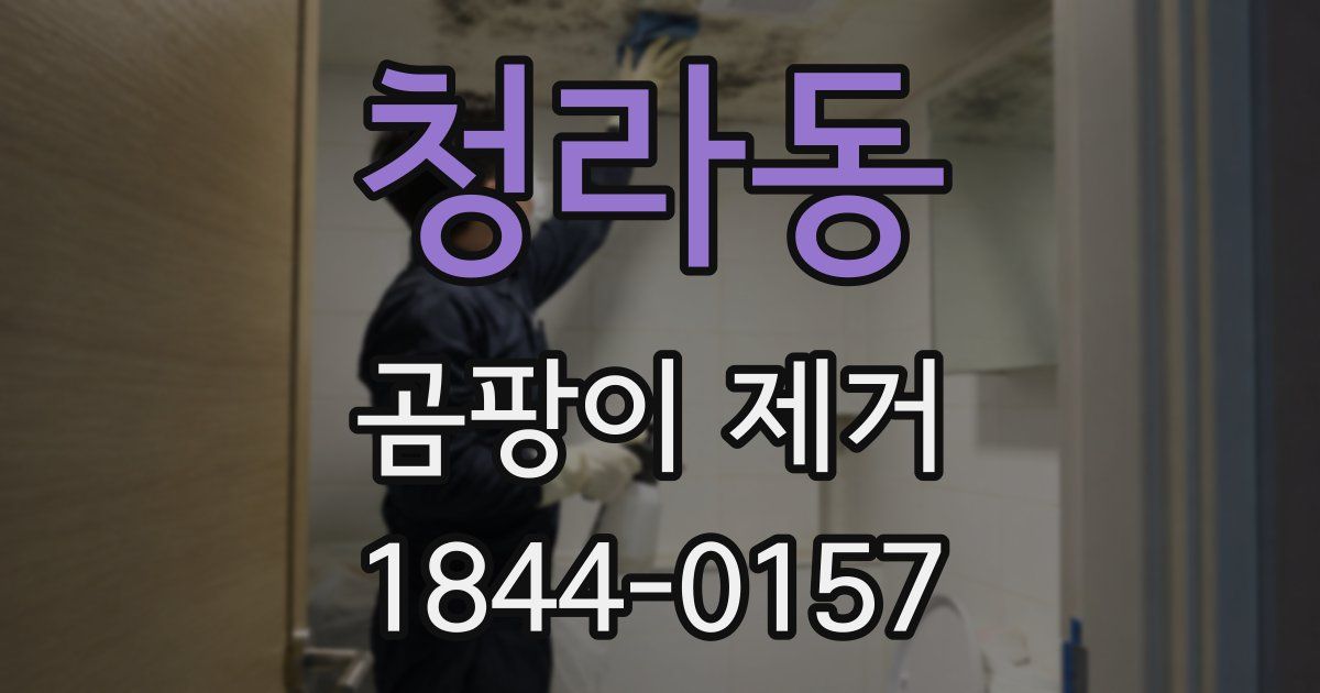 청라동 곰팡이 제거