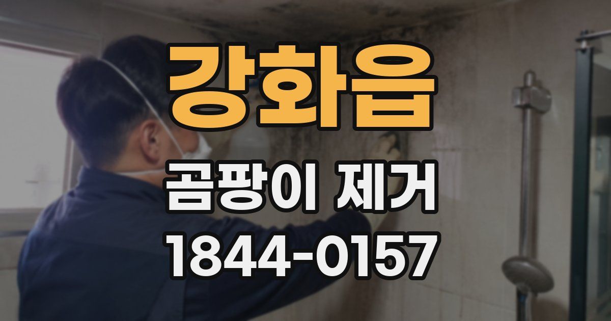 강화읍 곰팡이 제거