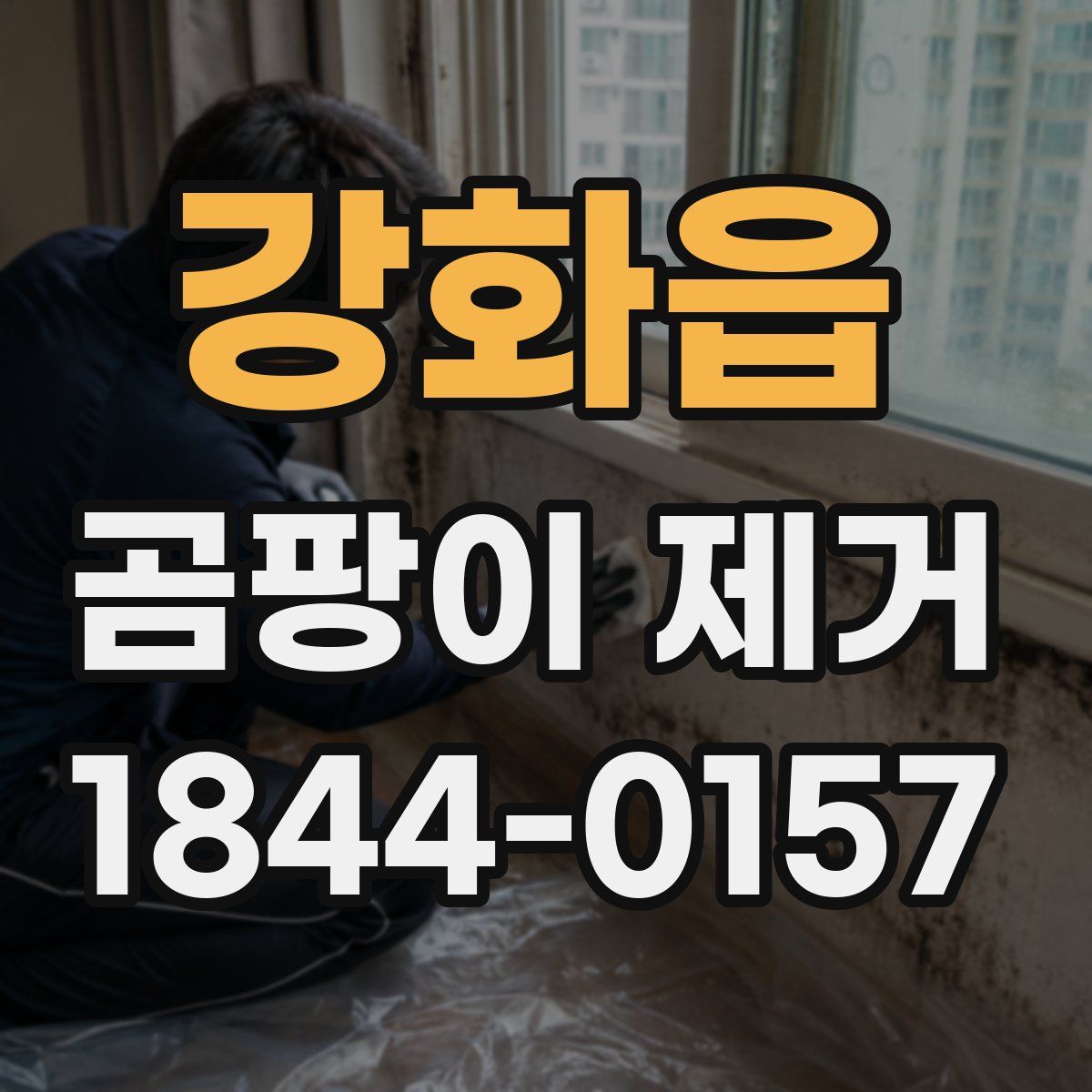 강화읍 곰팡이 제거