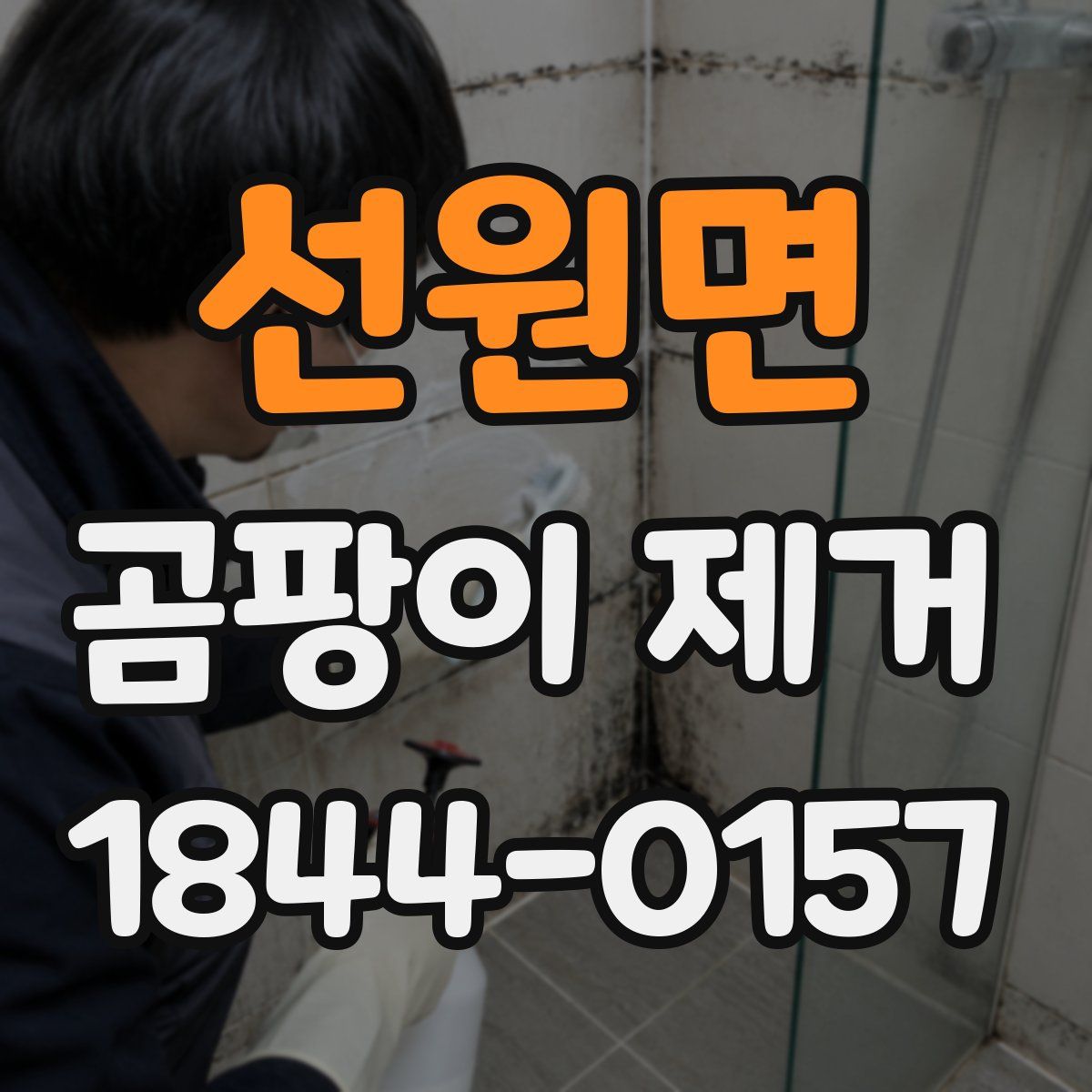 선원면 곰팡이 제거