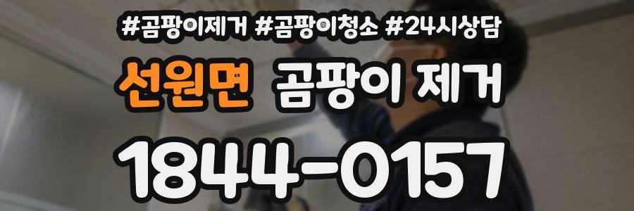 선원면 곰팡이 제거