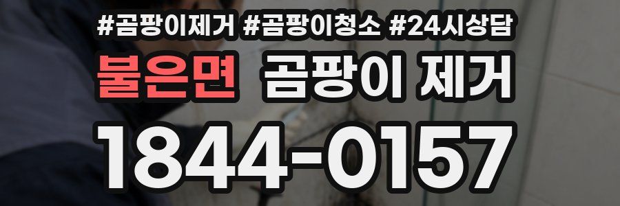 불은면 곰팡이 제거