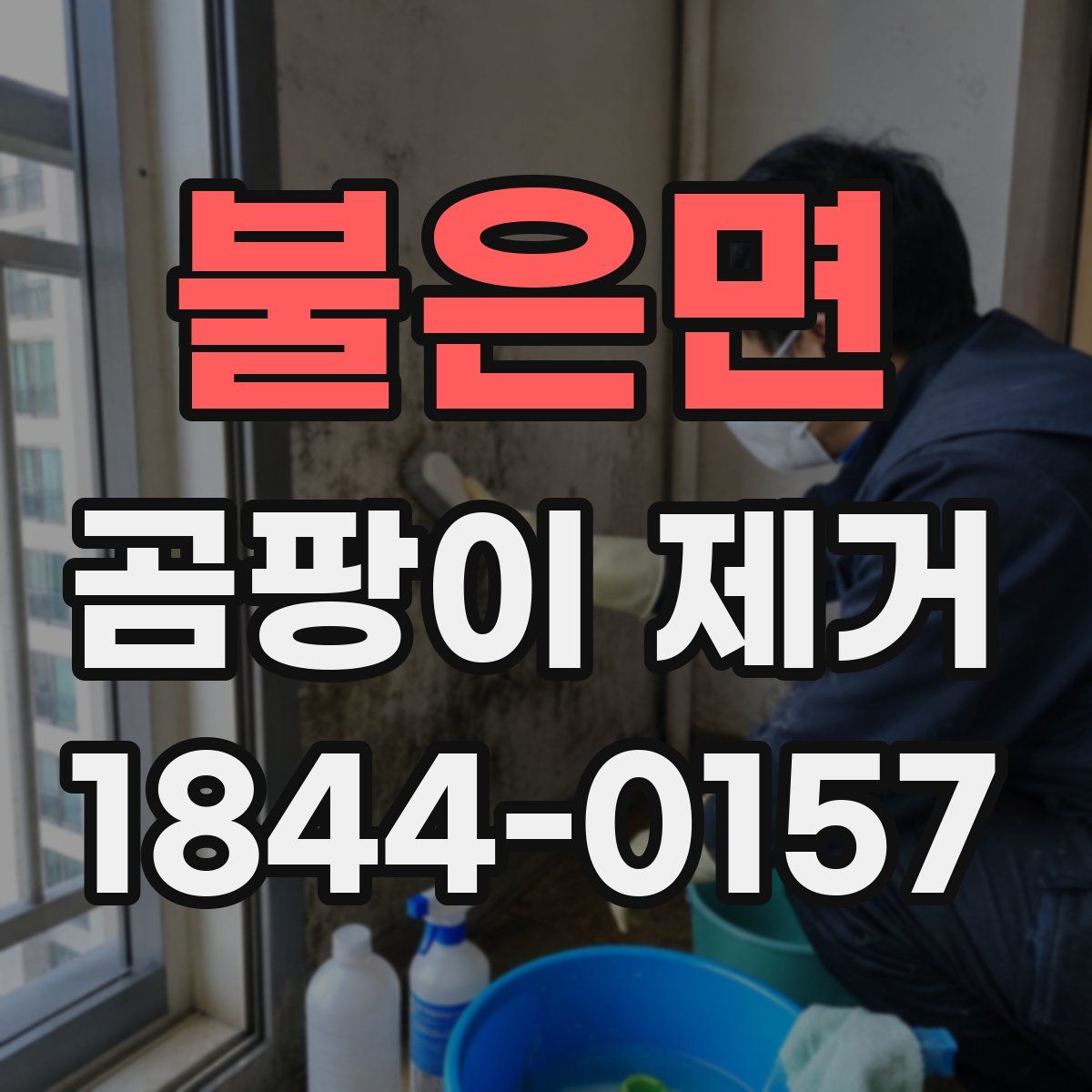 불은면 곰팡이 제거