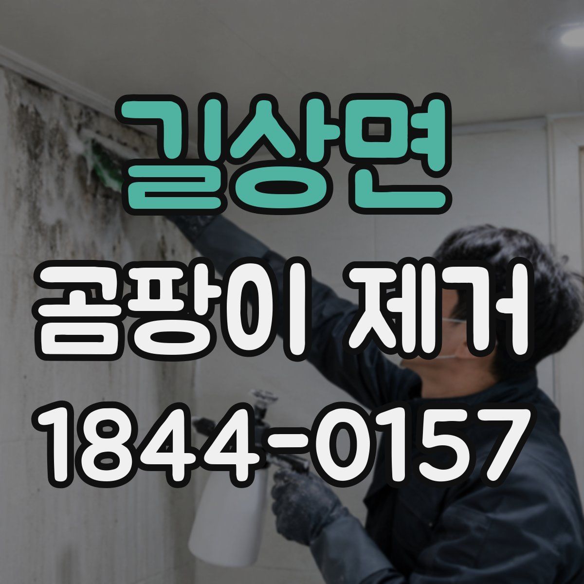 길상면 곰팡이 제거