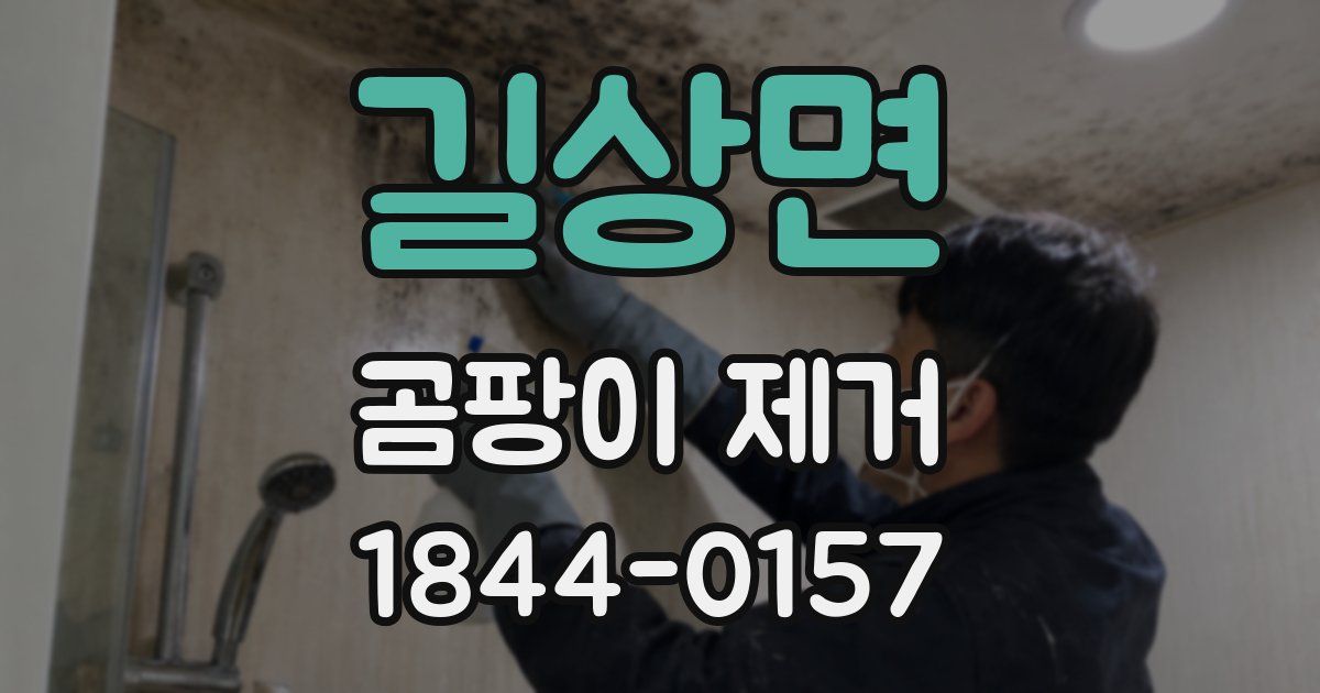 길상면 곰팡이 제거