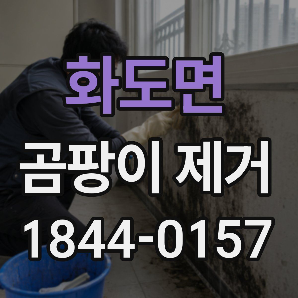 화도면 곰팡이 제거