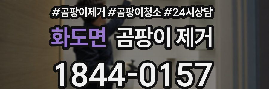 화도면 곰팡이 제거
