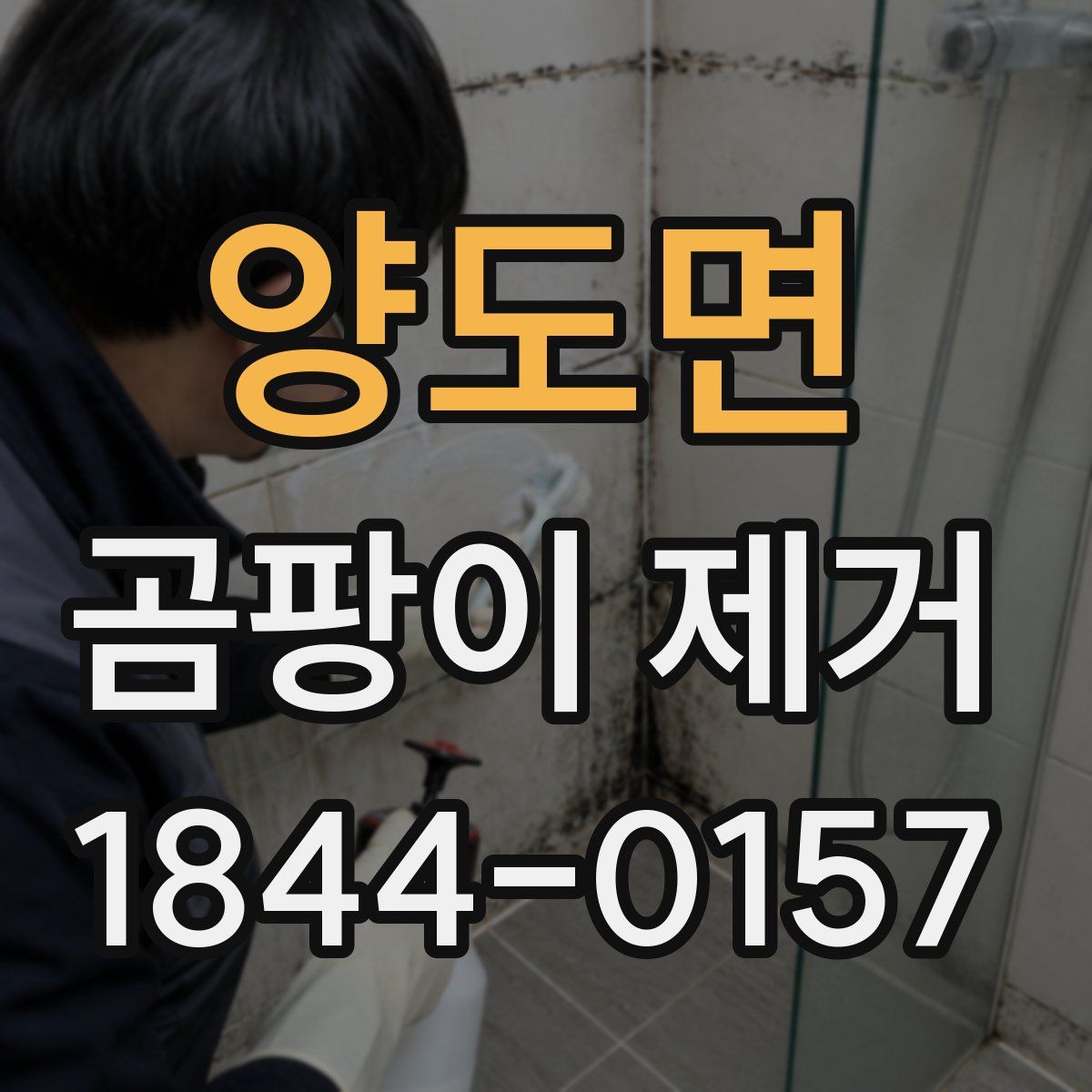 양도면 곰팡이 제거