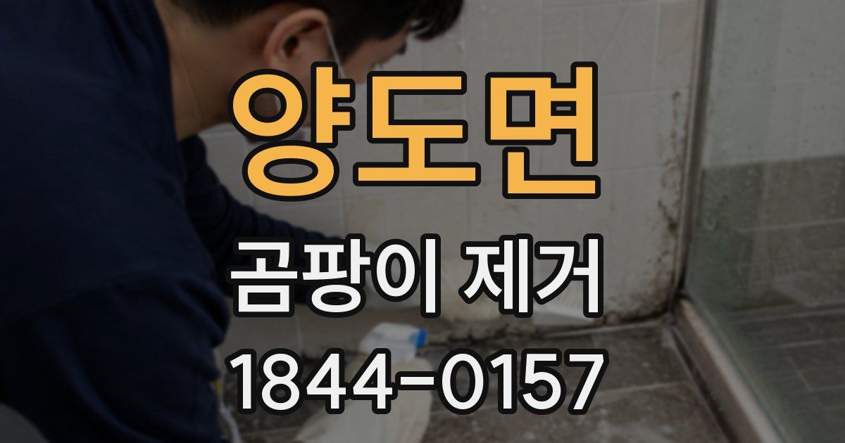 양도면 곰팡이 제거