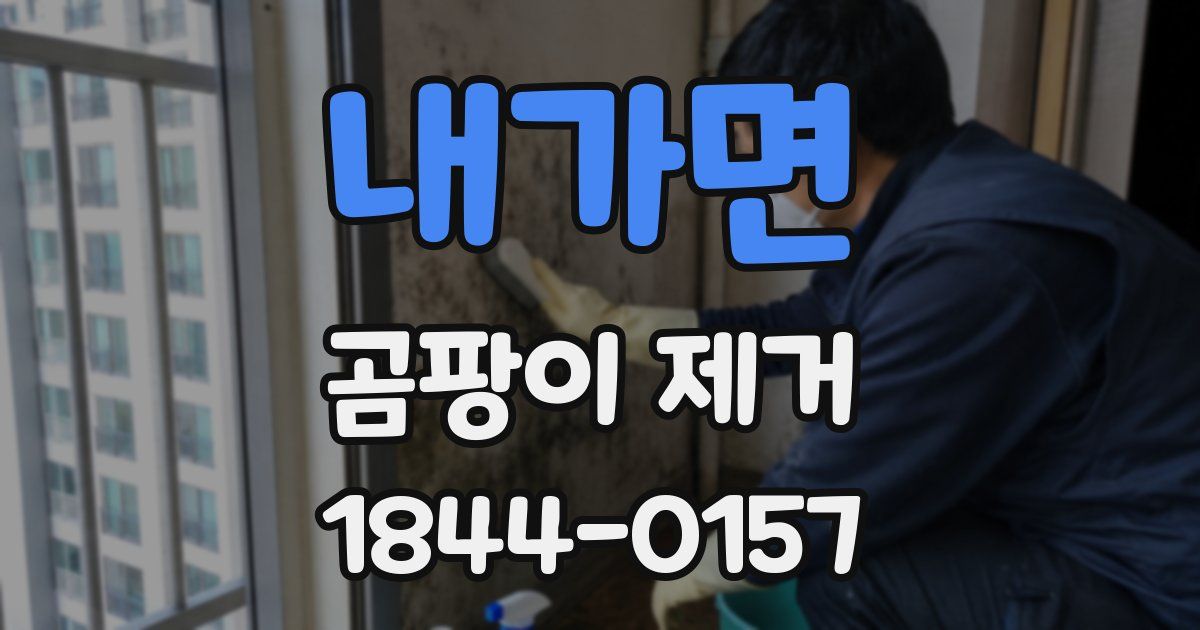 내가면 곰팡이 제거