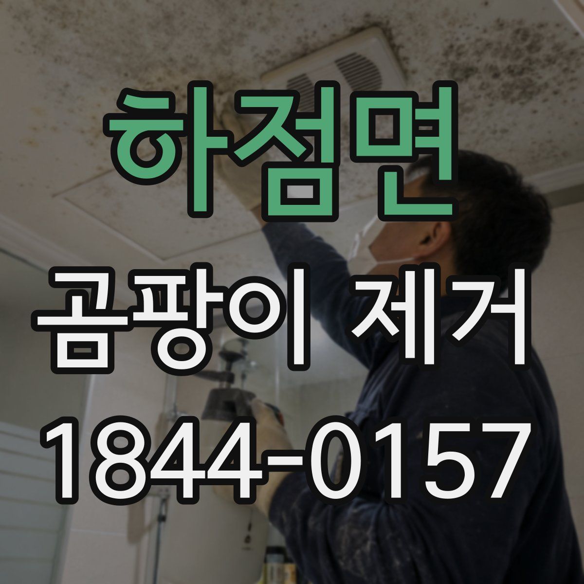 하점면 곰팡이 제거
